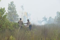 Hari ini waspadai potensi hujan hingga karhutla