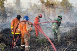 BPBD: Karhutla di Babel bertambah jadi 1.622,01 hektare