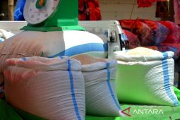 Harga beras di Gorontalo Utara alami kenaikan