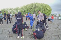 Polres Pidie tanam 1.500 mangrove untuk melindungi pantai dari abrasi