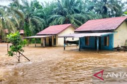 Banjir capai dua meter rendam dua kecamatan di Aceh Singkil