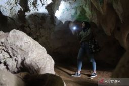 KLHK pulihkan area tambang jadi lokasi ekowisata IKN