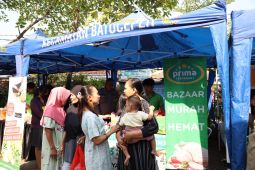 DKP bagikan 300 pohon cabai gratis di peluncuran gerakan pangan murah