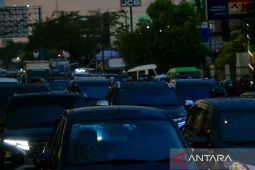 Macet Banjarmasin-Banjar akibat pohon tumbang