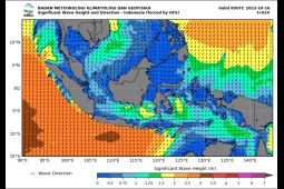BMKG imbau masyarakat beraktivitas di pesisir waspada ombak tinggi