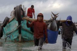 FAO: Petani dan nelayan untuk jadi agen pengelolaan air