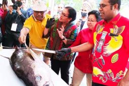 Festival ikan tuna STC Biak siapkan 10 ribu porsi sashimi gratis