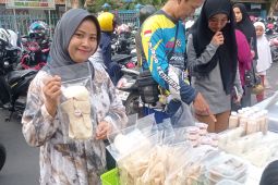 Produksi palawija di Kabupaten Lebak capai 37.047 ton