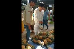 Kesbangpol Bangka Selatan harap masyarakat waspada terhadap WNA