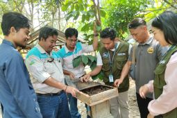 Manisnya Usaha Lebah Kelulut di Desa Lasung Batu