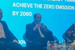 PLN perlu investasi 155 miliar dolar AS untuk bangun energi hijau