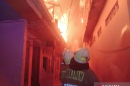Obat nyamuk picu kebakaran 20 rumah di Rawamangun