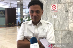 Waketum Gerindra: Jagoan muncul belakangan