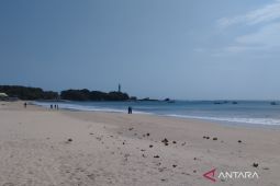 BPBD Garut cek kawasan pesisir pantai yang diguncang gempa