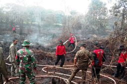 Titik panas di Kaltim turun dari 132 menjadi 79