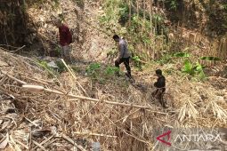 Polisi kembali periksa TKP temuan jasad wanita di Sukabumi