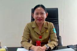 Dinkes Bangka tekan penularan DBD