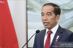 Widodo condemns Gaza violence, civilian casualties