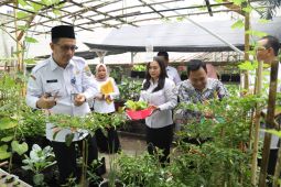 Gerakan menanam sayur ASN meriahkan Hari Jadi Ke-252 Kota Pontianak