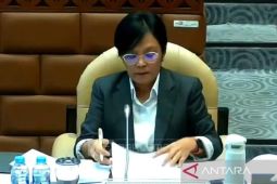 Indonesia usulkan tiga hal dalam konferensi penerbangan sipil di India