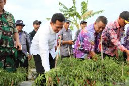 Harga naik, Pemkab Tangerang instruksikan ASN tanam cabai