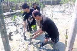 PBNU bersama ratusan santri tanam 2.500 bibit mangrove di Surabaya