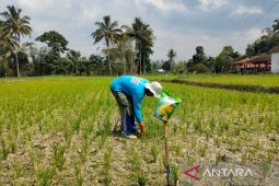BPBD Rejang Lebong siapkan bantuan dampak kekeringan