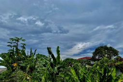 Sebagian wilayah Kalsel diprediksi berawan pada Senin pagi