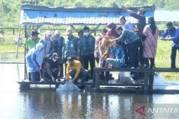 Pemkab Balangan targetkan tebar satu juta bibit ikan