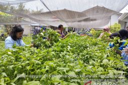 Piloting Dua Kelurahan di Pangkalpinang Tanggap Inflasi Telah Membuahkan Hasil