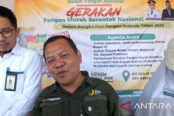 El nino tidak pengaruhi stok beras di Bangka Belitung