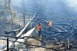 Jumlah titik panas  di Kalimantan Timur berkurang