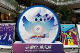 Fei Fei, sosok burung imut berwarna biru jadi maskot Asian Para Games Hangzhou