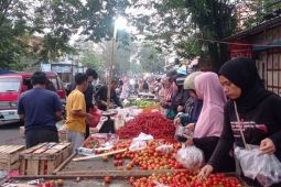 Pemkab Lebak jamin ketersediaan pangan hingga 2024