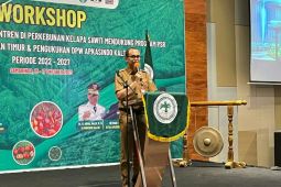 Kelapa sawit dominasi 89,59 persen  luas perkebunan Kaltim