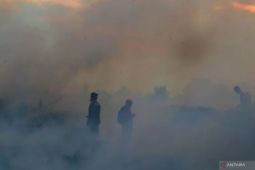 Forest, land fires decrease as rainy season comes: BPBD