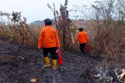Bakar ilalang dan sampah bisa kena sanksi pidana