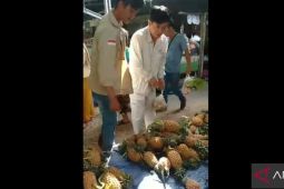 Kesbangpol Bangka Selatan cek status WNA