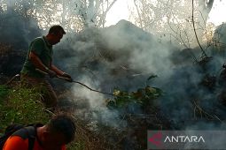 Petugas gabungan berhasil padamkan karhutla TN Gunung Ciremai