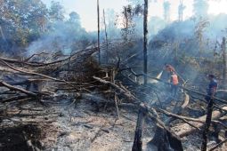 Titik panas di Kalimantan Timur turun  dari 97 menjadi 74