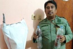 Petugas BKSDA amankan burung nuri khas maluku dan tanduk rusa di Namlea