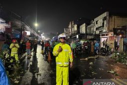 Pohon tumbang timpa mobil di Bogor