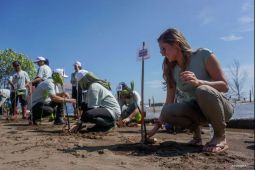 KLHK: Indonesia punya 3,39 juta Ha mangrove