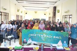 DPKP Bangka Tengah: 96,25 persen beras didatangkan dari luar daerah