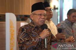 Wapres: Serangan Israel bukan tindakan bela diri tapi genosida