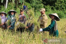 Pemkot Lhokseumawe imbau petani tidak menjual lahan, cegah alih fungsi