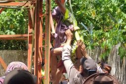 Lansia di Aceh Timur panjat menara BTS