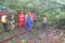 Pembersihan pohon tumbang dimulai usai angin puting beliung di Cimahi