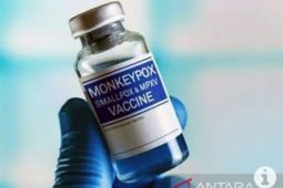 Penderita cacar monyet dengan kondisi stabil tak perlu antivirus