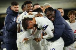 Tottenham kokoh di puncak klasemen usai atasi Crystal Palace 2-1